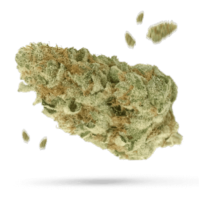 White Widow Samen - Autoflower - Happy420