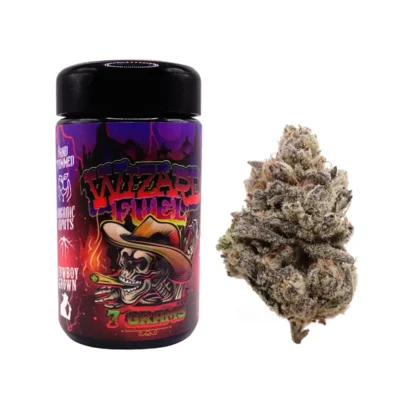 Wizard Fuel - Alchimia