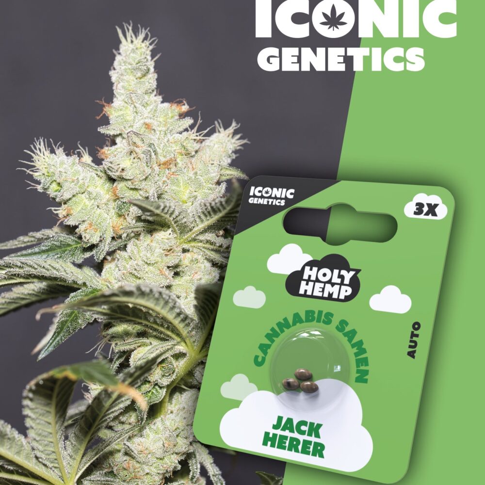 Jack Herer Iconic Seeds - Holy Hemp