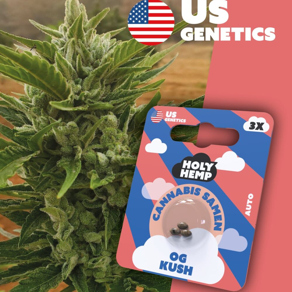 OG Kush Cali Seeds - Holy Hemp