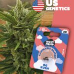 OG Kush Cali Seeds