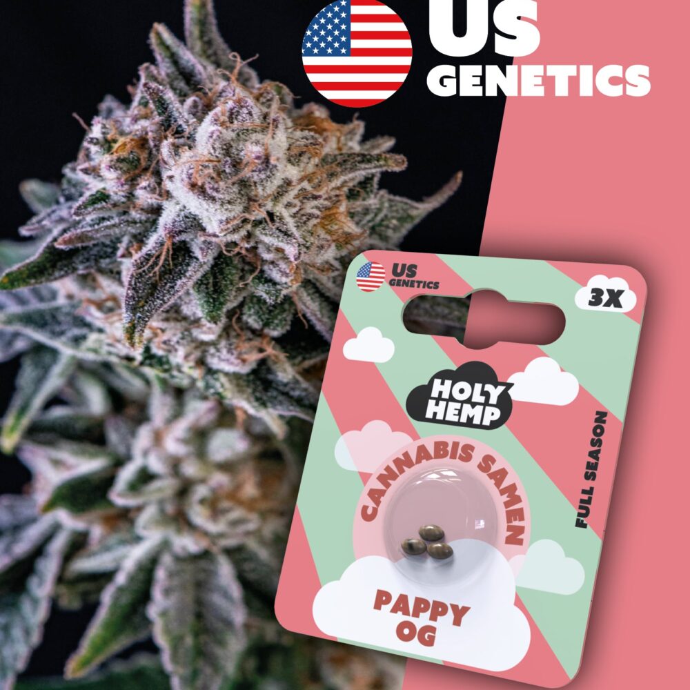 Pappy OG Cali Seeds - Holy Hemp