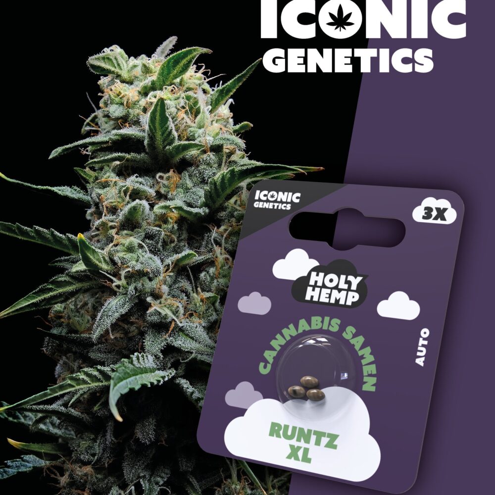 Runtz XL Iconic Seeds - Holy Hemp