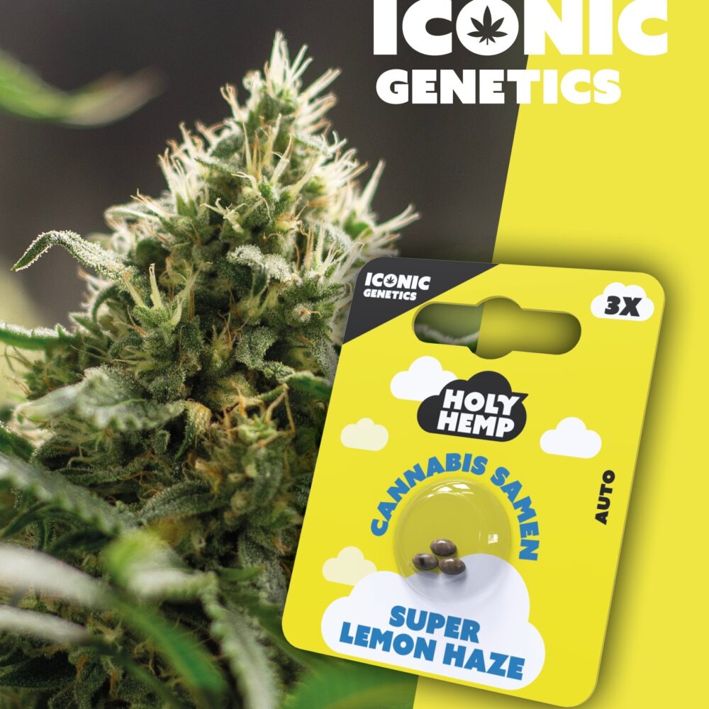 Super Lemon Haze Iconic Seeds - Holy Hemp