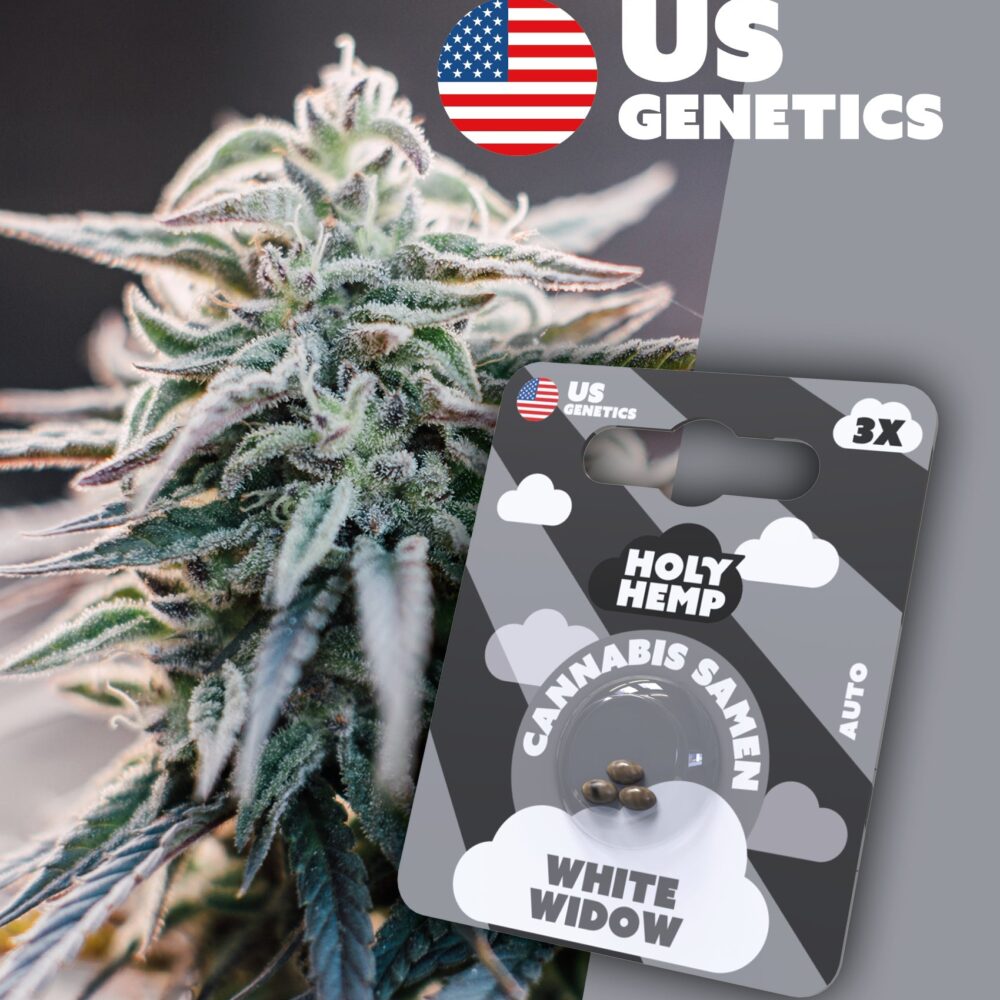 White Widow Cali Seeds - Holy Hemp