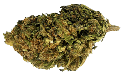 Blackberry OG CBG9 Blüten 1g - Cannaconda