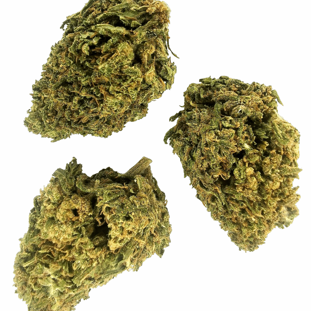Godfather OG 10-OH+ Blüten 1g - Cannaconda