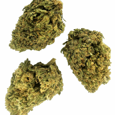 Godfather OG 10-OH+ Blüten 1g - Cannaconda