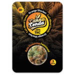 Orange Sherbet Auto Feminised Cali Seeds