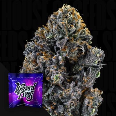 Big Z - House of Seeds