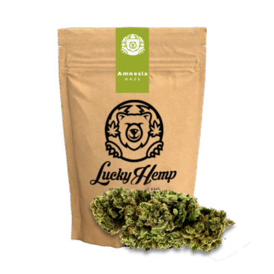 Amnesia Haze Ökopack - Lucky Hemp