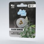 Black Domina THC-Seeds