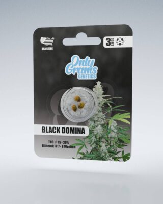 Black Domina THC-Seeds - Only Grams