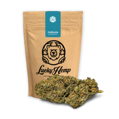 California Blueberry Ökopack - Lucky Hemp