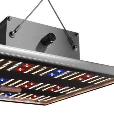 Caluma Force 75W LED 27 µmolJ – Grow Guru