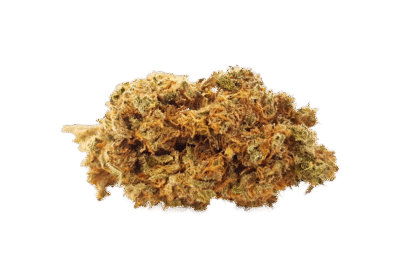 Cheese Haze CBD Blüten Indoor - CBD040