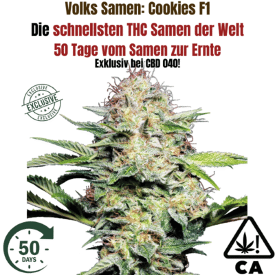 Cookies F1 Cali Weed THC Samen - CBD040