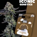 Cookies XL Iconic Seeds