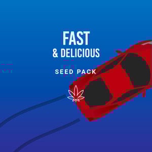 Fast As Fuck - Royal Queen Seeds