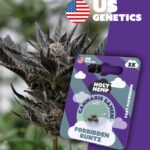 Forbidden Runtz Cali Seeds