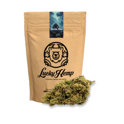 Gorilla Glue Ökopack - Lucky Hemp