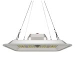 Greenception GC-Pure 80 Watt