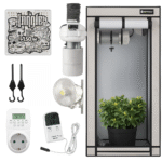 Growbox Komplettset 80x80 – Homebox Q80+ & Jungle LED 150W – inkl. Lüftung & Zubehör
