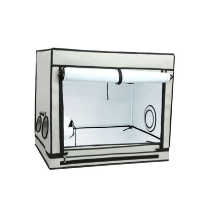 Homebox Ambient R80S – Happy Grow