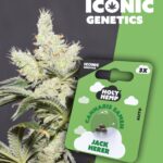 Jack Herer Iconic Seeds
