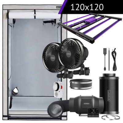 Lumatek & AC Infinity Komplettset XL | 120x120x220 cm | 465 Watt - Grow Guru