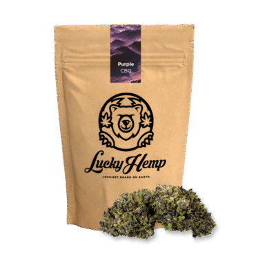 Purple CBG Ökopack - Lucky Hemp