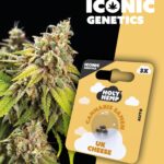 UK Cheese Iconic Seeds