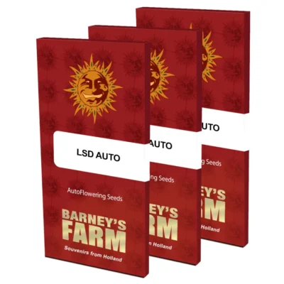 Barneys Farm LSD Auto 1 Stück - Hanfjack