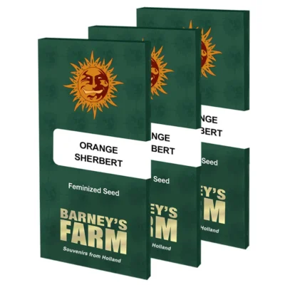 Barneys Farm Orange Sherbert 3 Stück - Hanfjack