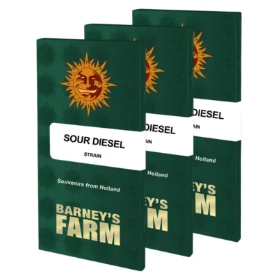 Barneys Farm Sour Diesel 1 Stück - Hanfjack