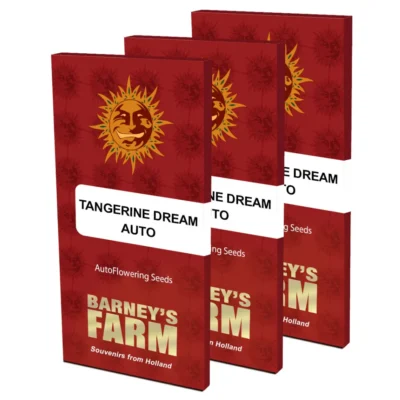 Barneys Farm Tangerine Dream Auto 3 Stück - Hanfjack