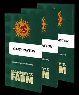 Gary Payton - Bushdoctor
