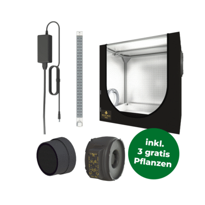 Grow Set DP 60 - Bushdoctor